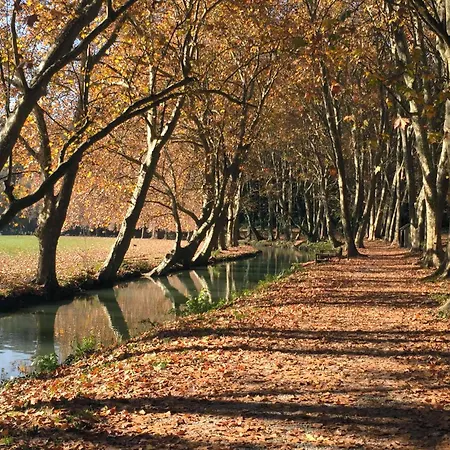 La Sapiniere Διαμέρισμα *